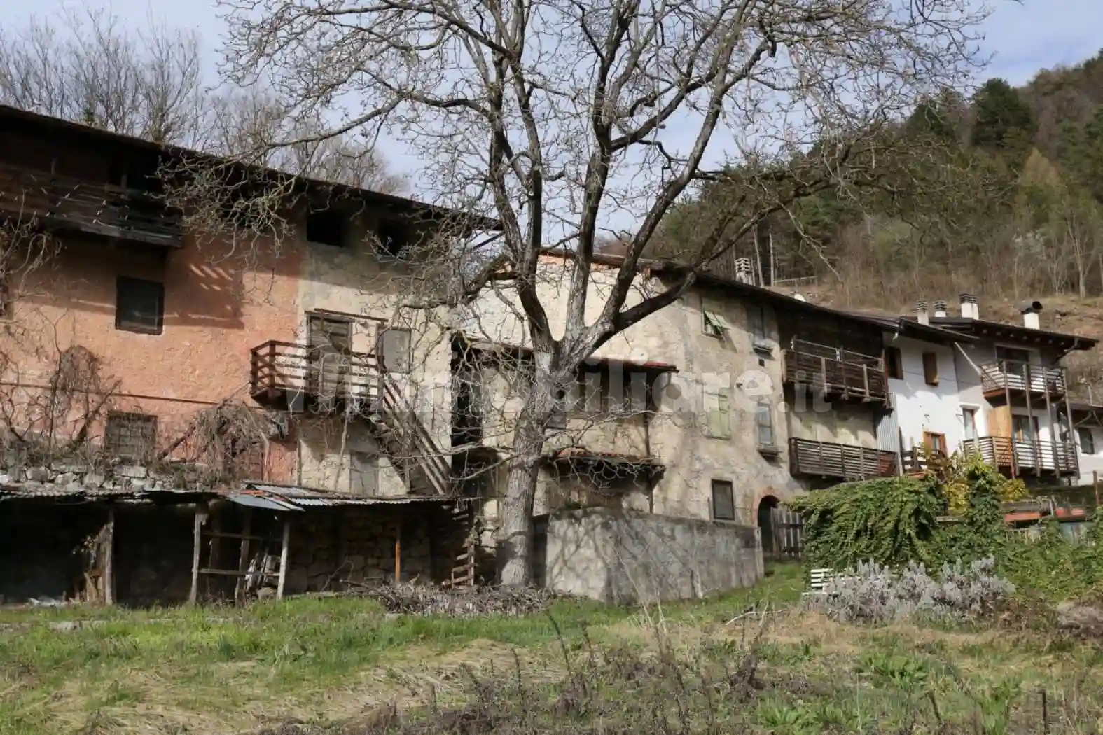 Rustico - Casale - foto 5