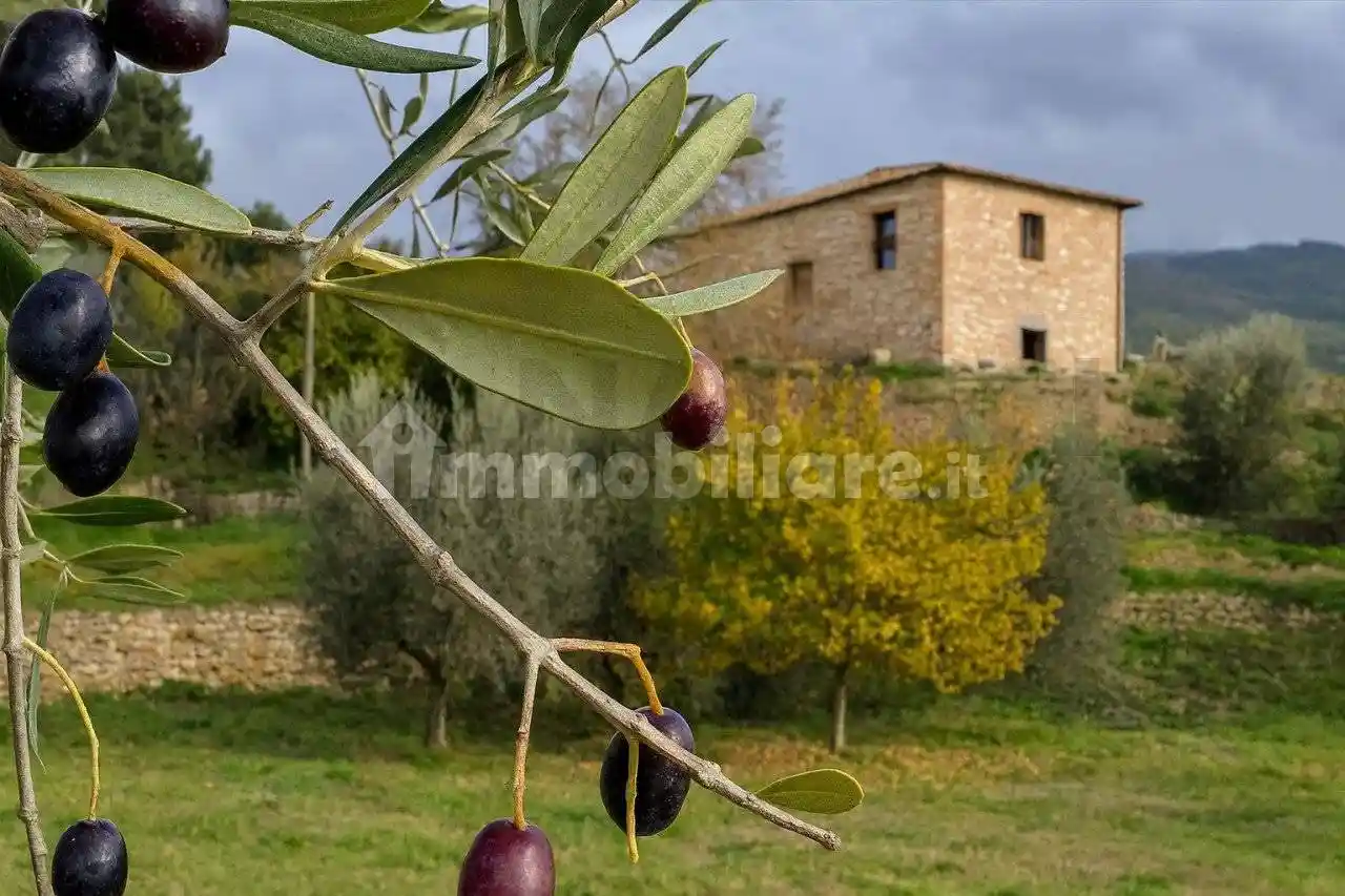 Rustico - Casale in vendita a Pelago