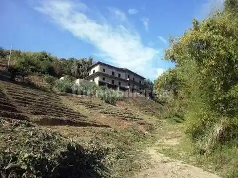 Villa in vendita a Carrara