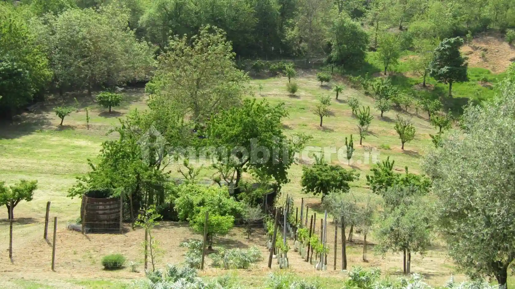 Rustico - Casale - foto 2