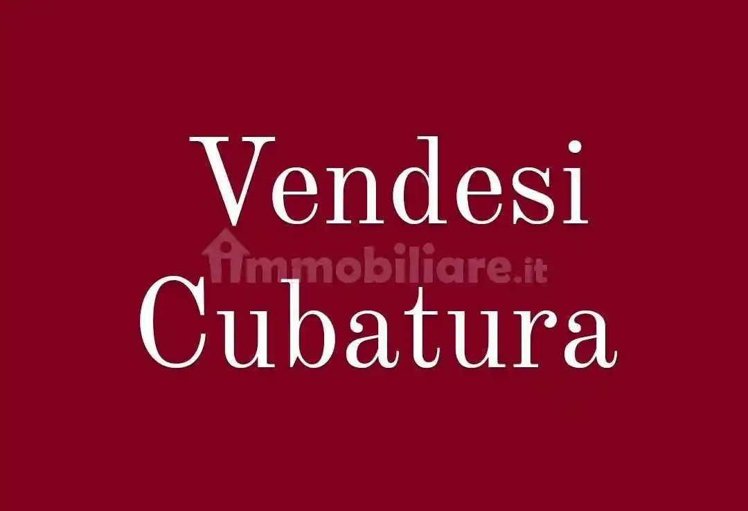 Palazzo - Edificio in vendita a Mantova