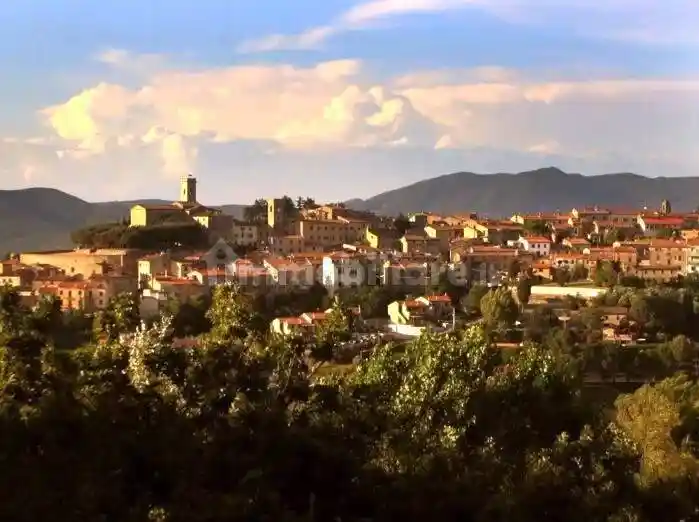 Appartamento in vendita a Montescudaio