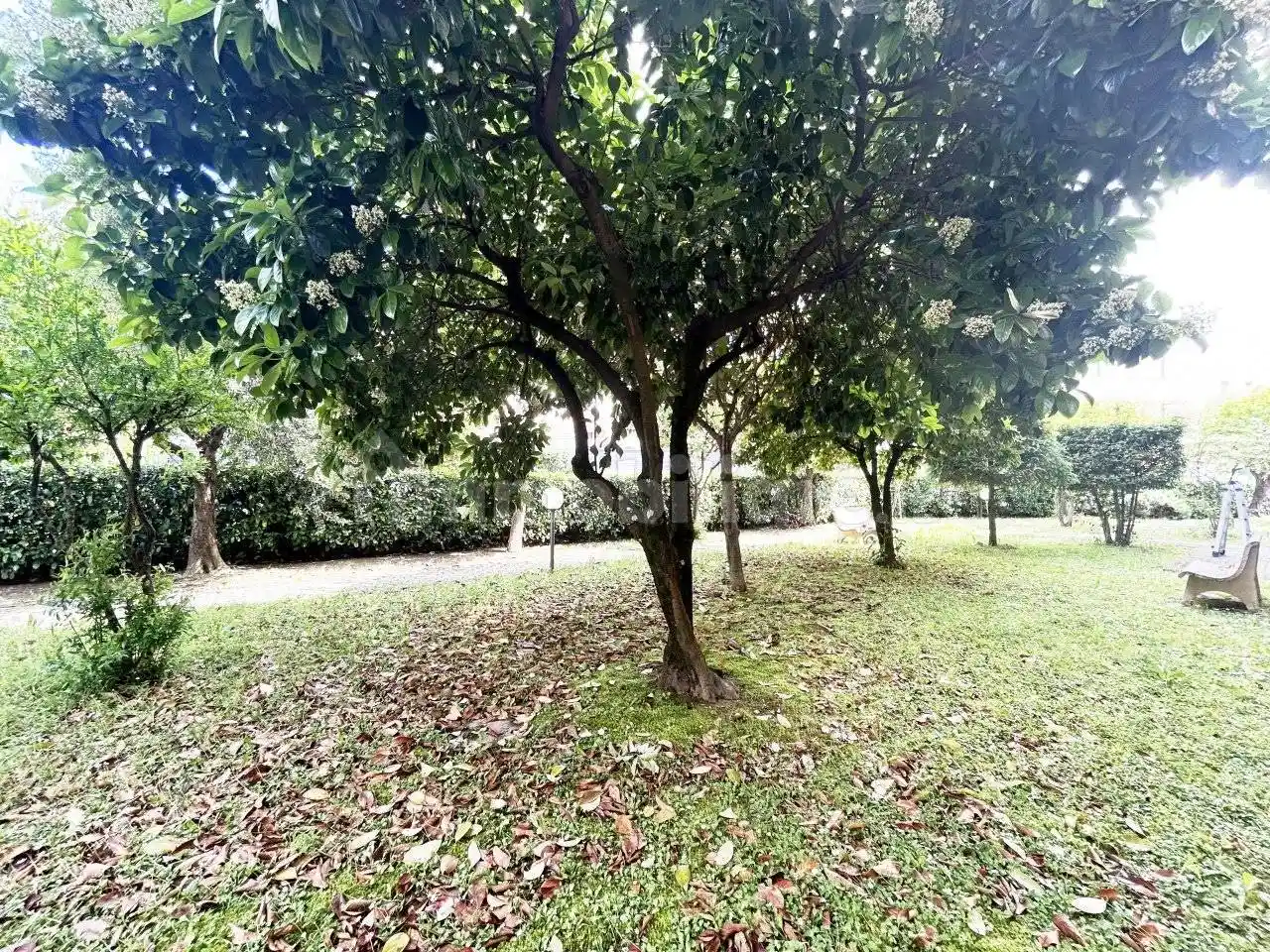 Appartamento in vendita a Poggio a Caiano