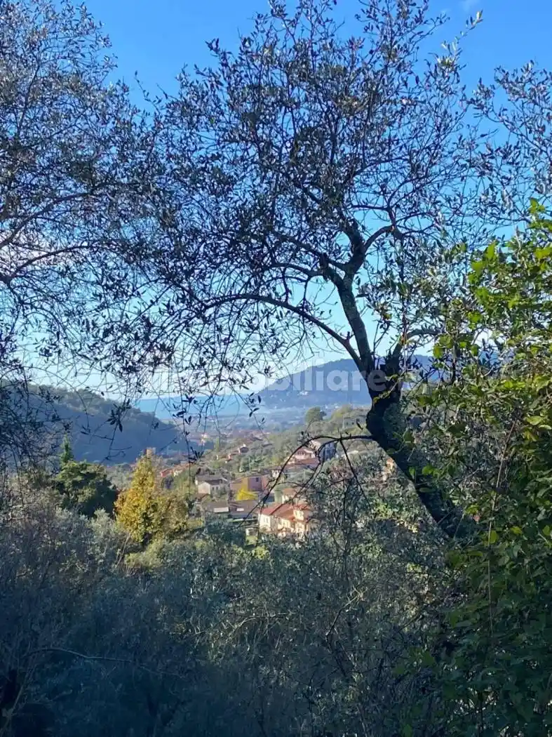 Villa in vendita a Luni
