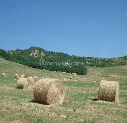 Rustico - Casale in vendita a Piandimeleto