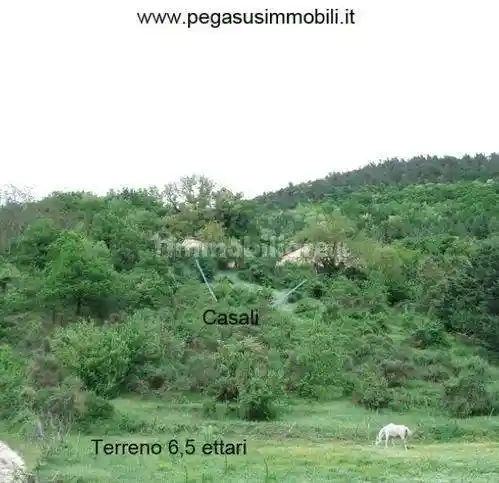 Rustico - Casale in vendita a Piobbico