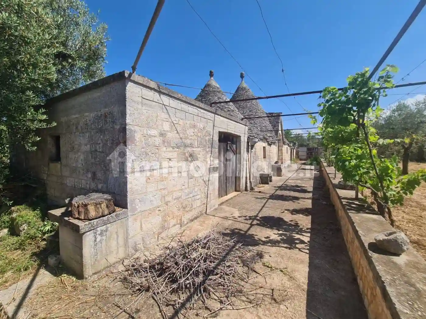 Rustico - Casale - foto 5