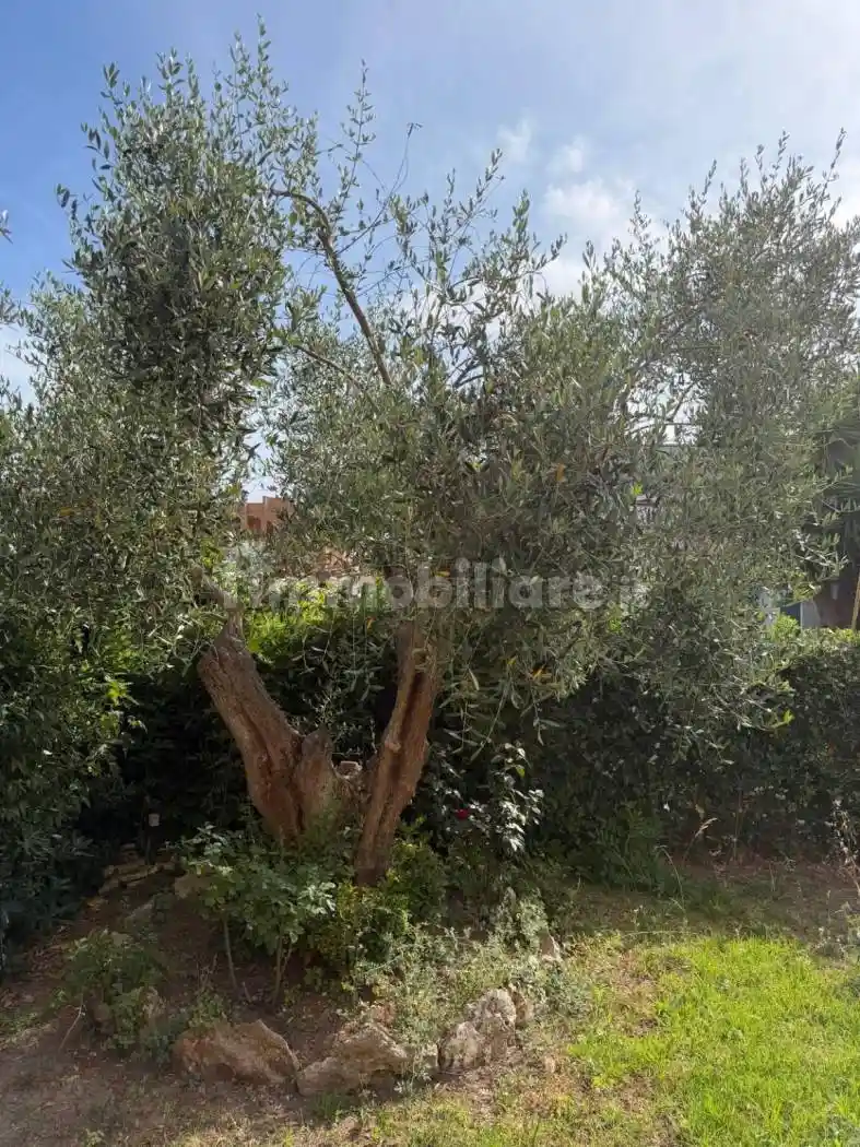 Villa in vendita a Cerveteri