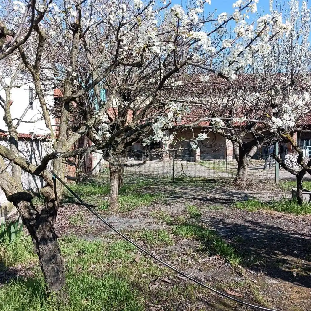 Rustico - Casale in vendita a Cerano