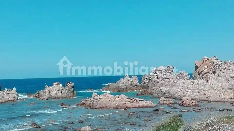 Appartamento in affitto a Trinità d'Agultu e Vignola