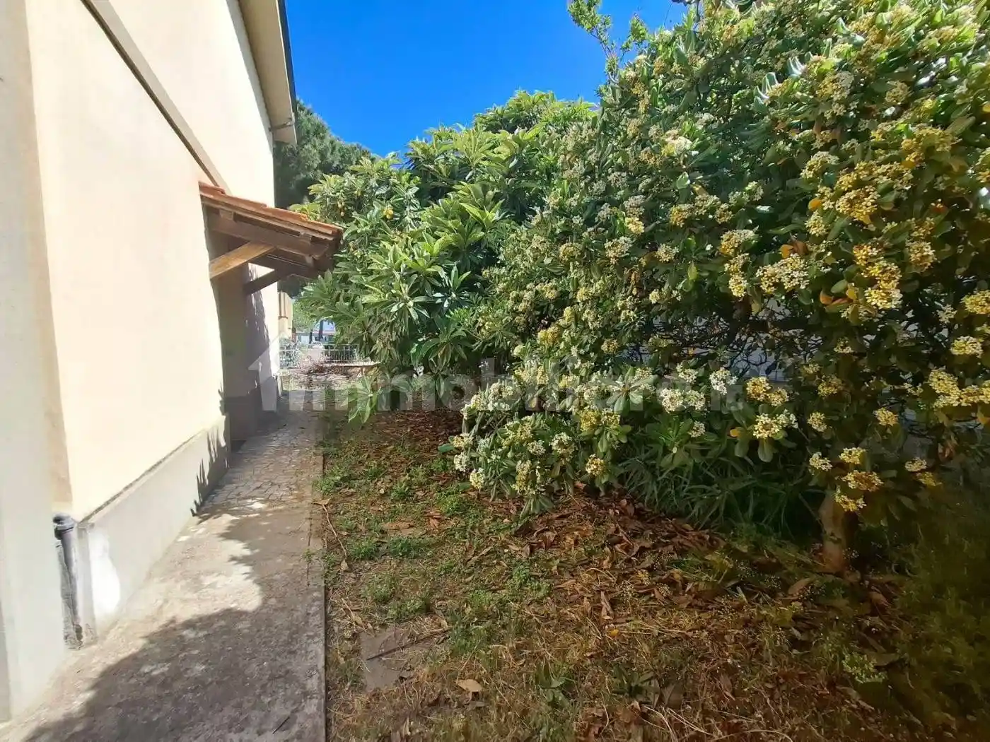 Appartamento in vendita a Castagneto Carducci