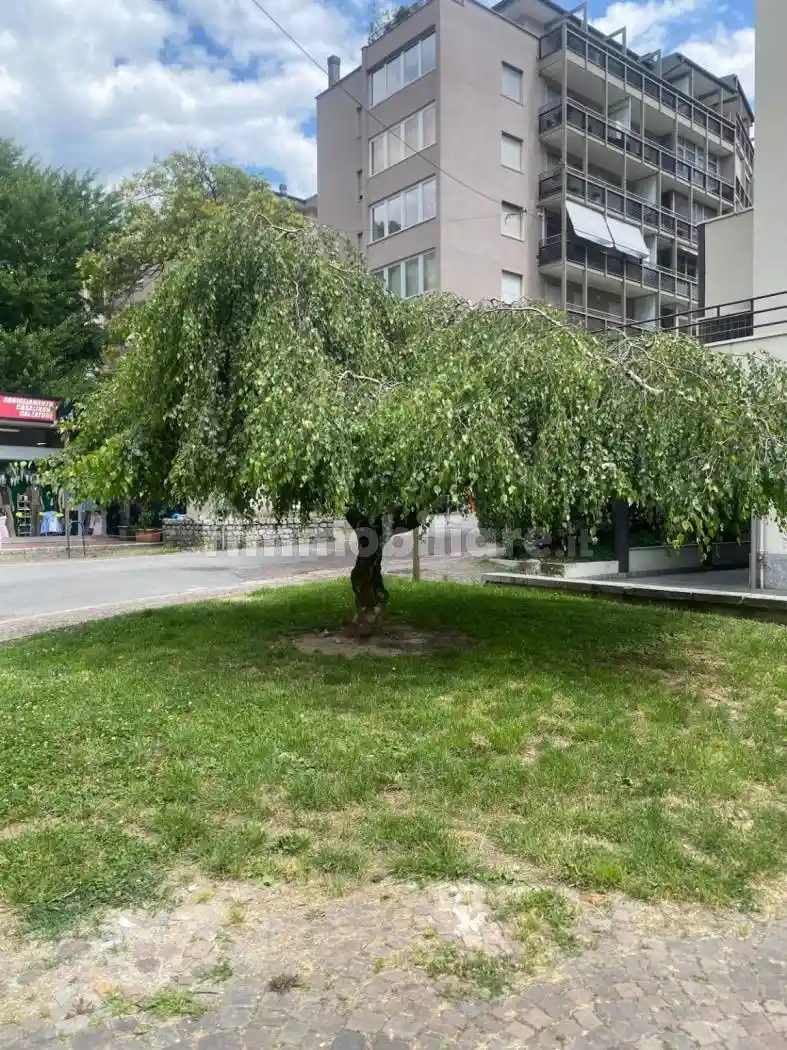Appartamento in vendita a Sondrio