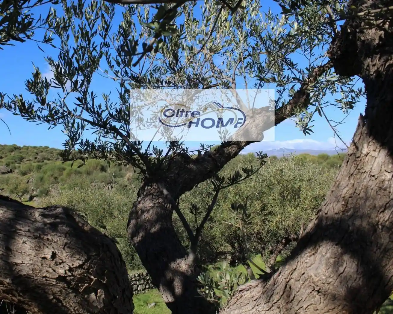 Rustico - Casale in vendita a Castiglione di Sicilia