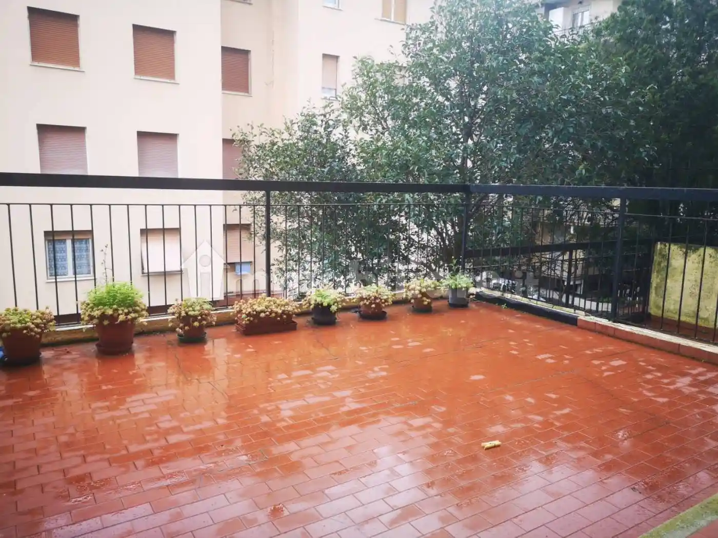 Appartamento in affitto a Cogoleto