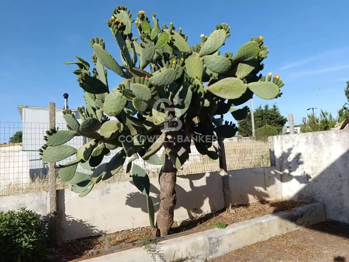 Villa in vendita a Ragusa
