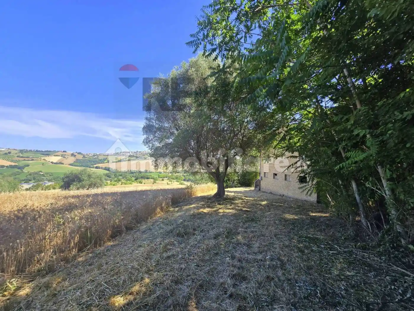 Rustico - Casale in vendita a Montegranaro