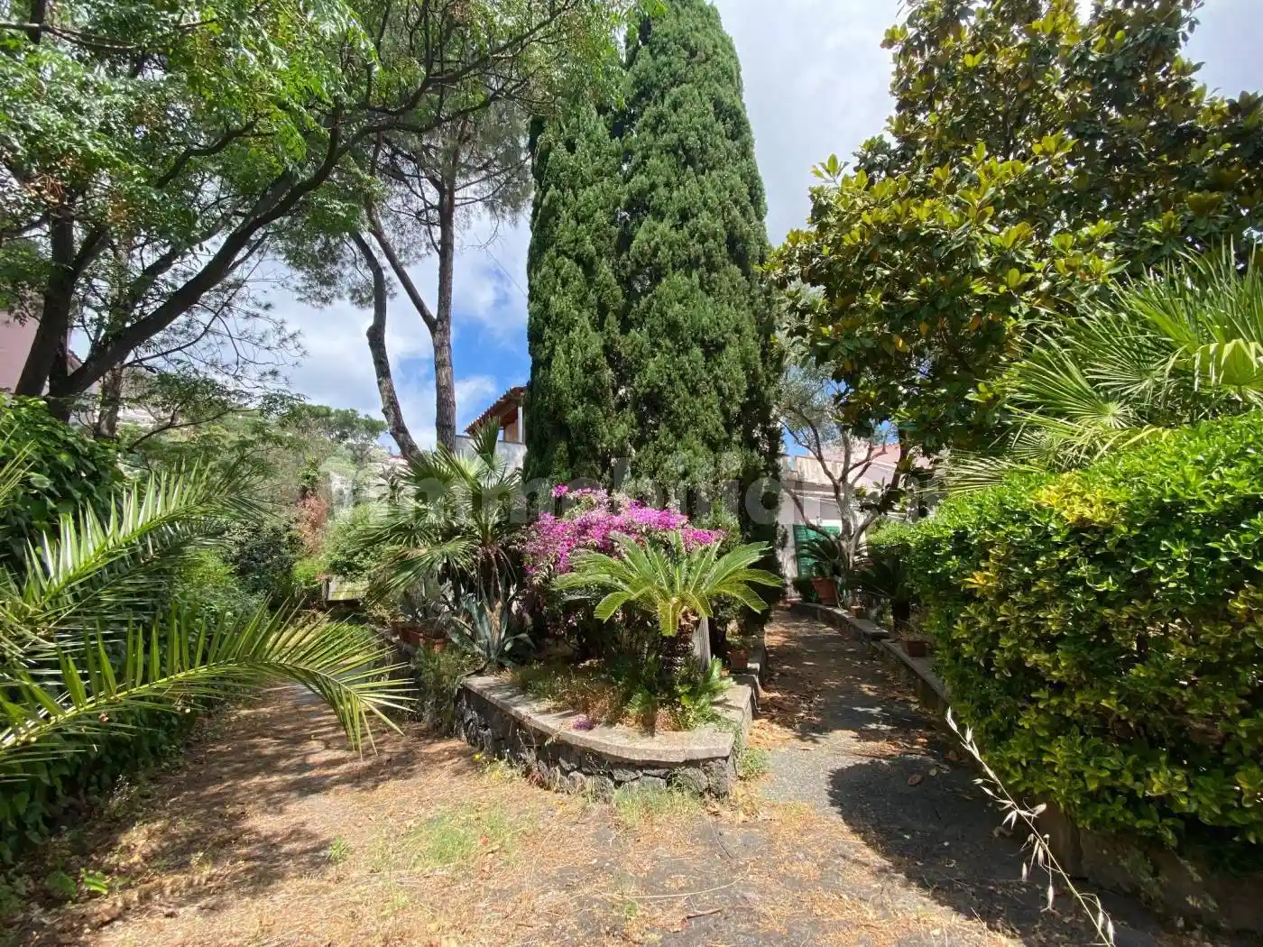Villa in vendita a Ischia