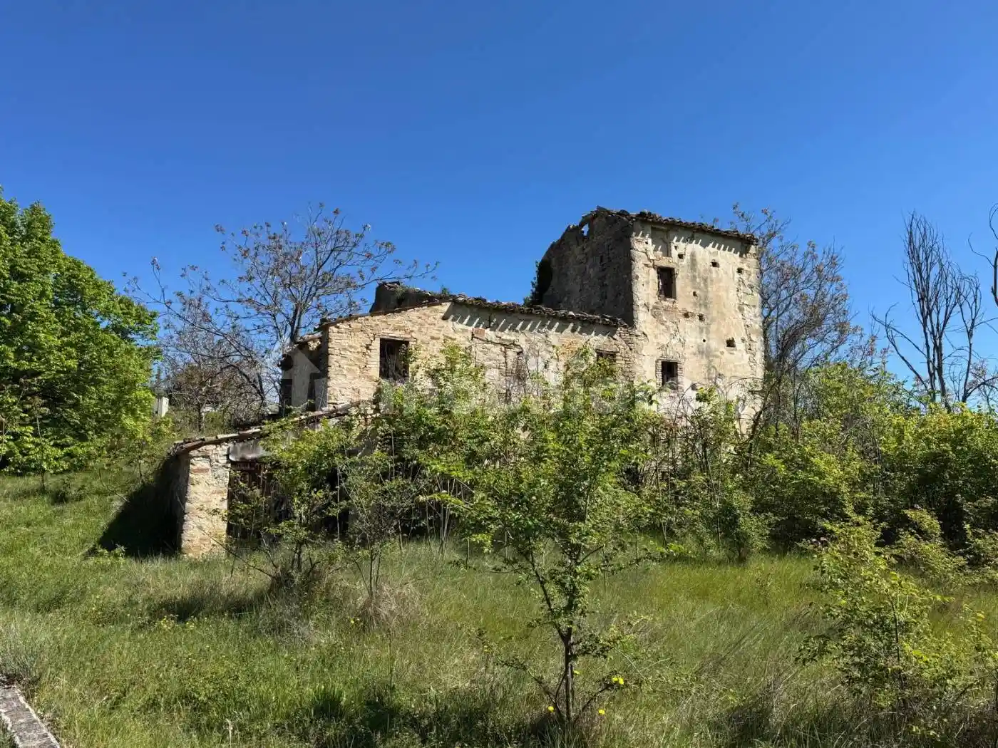Rustico - Casale in vendita a Montelparo
