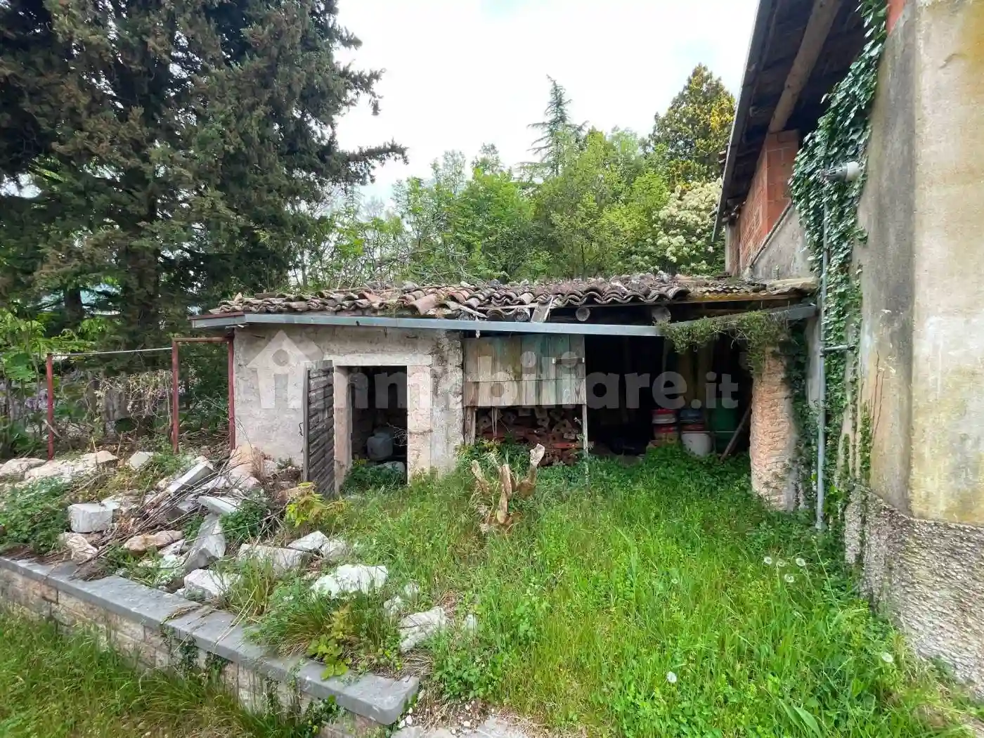Rustico - Casale - foto 5