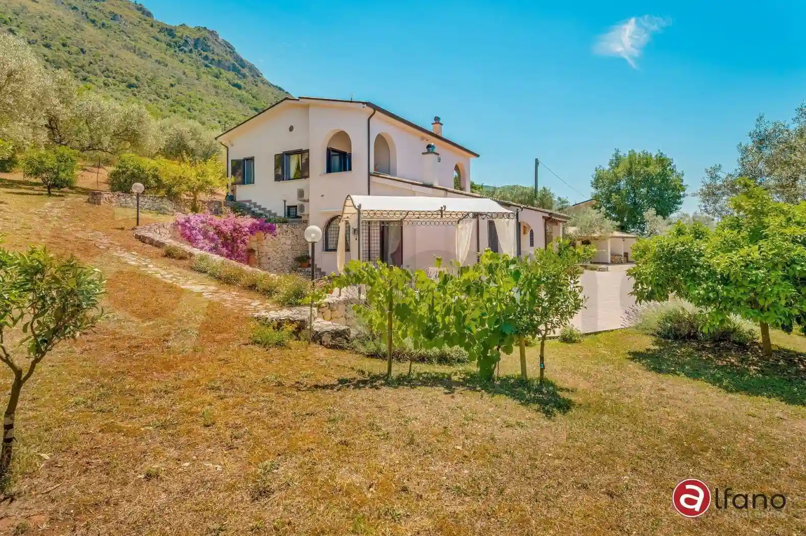 Villa - foto 5