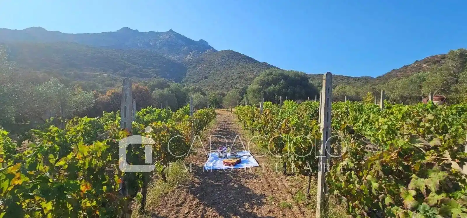 Villa in vendita a Olbia