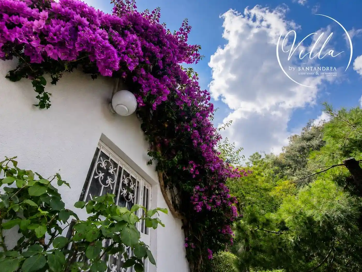 Villa in vendita a Camogli