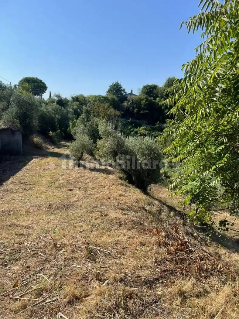 Casa indipendente in vendita a San Miniato