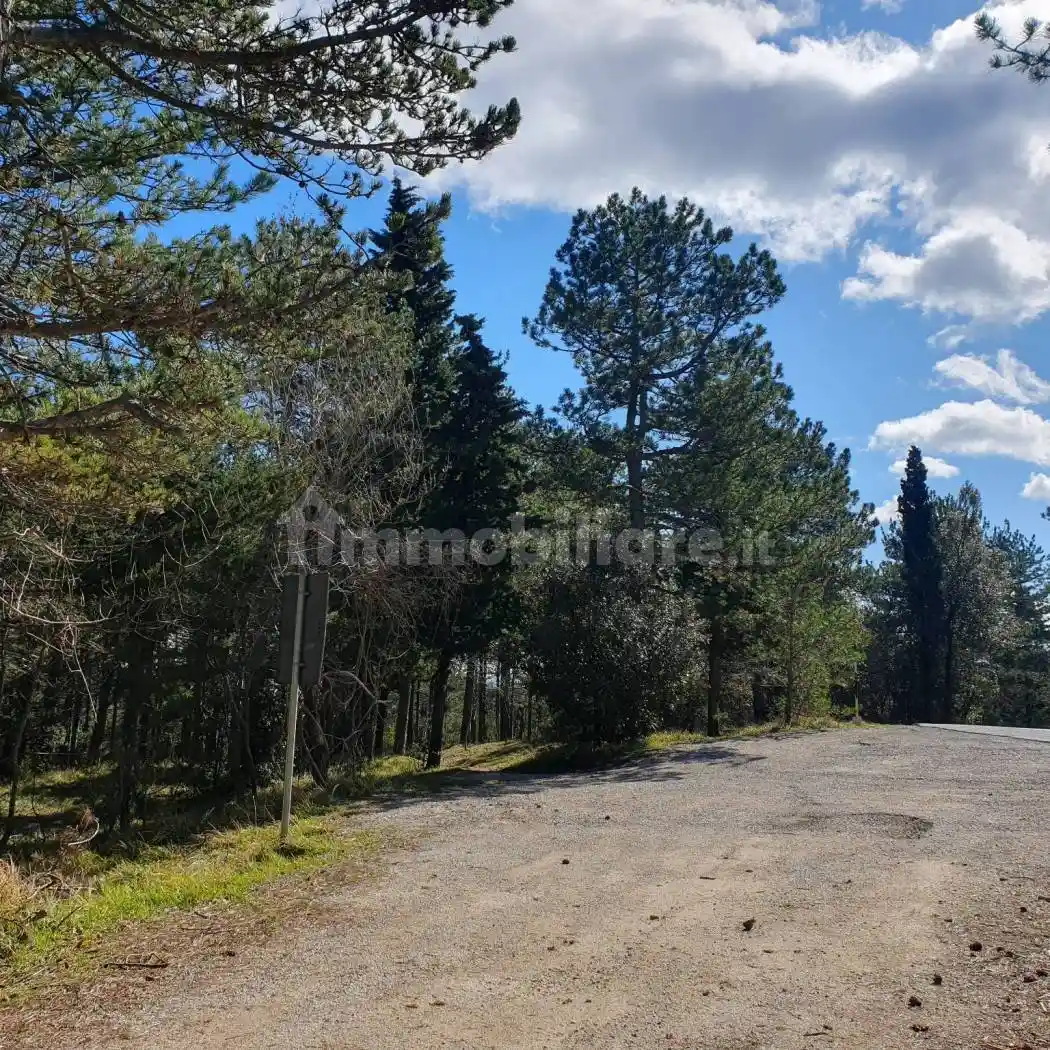 Rustico - Casale in vendita a Fossombrone