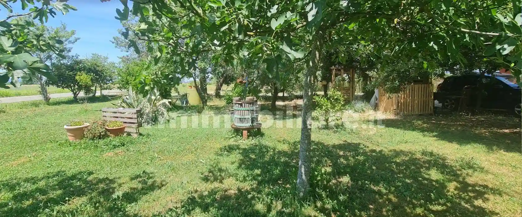 Rustico - Casale - foto 2
