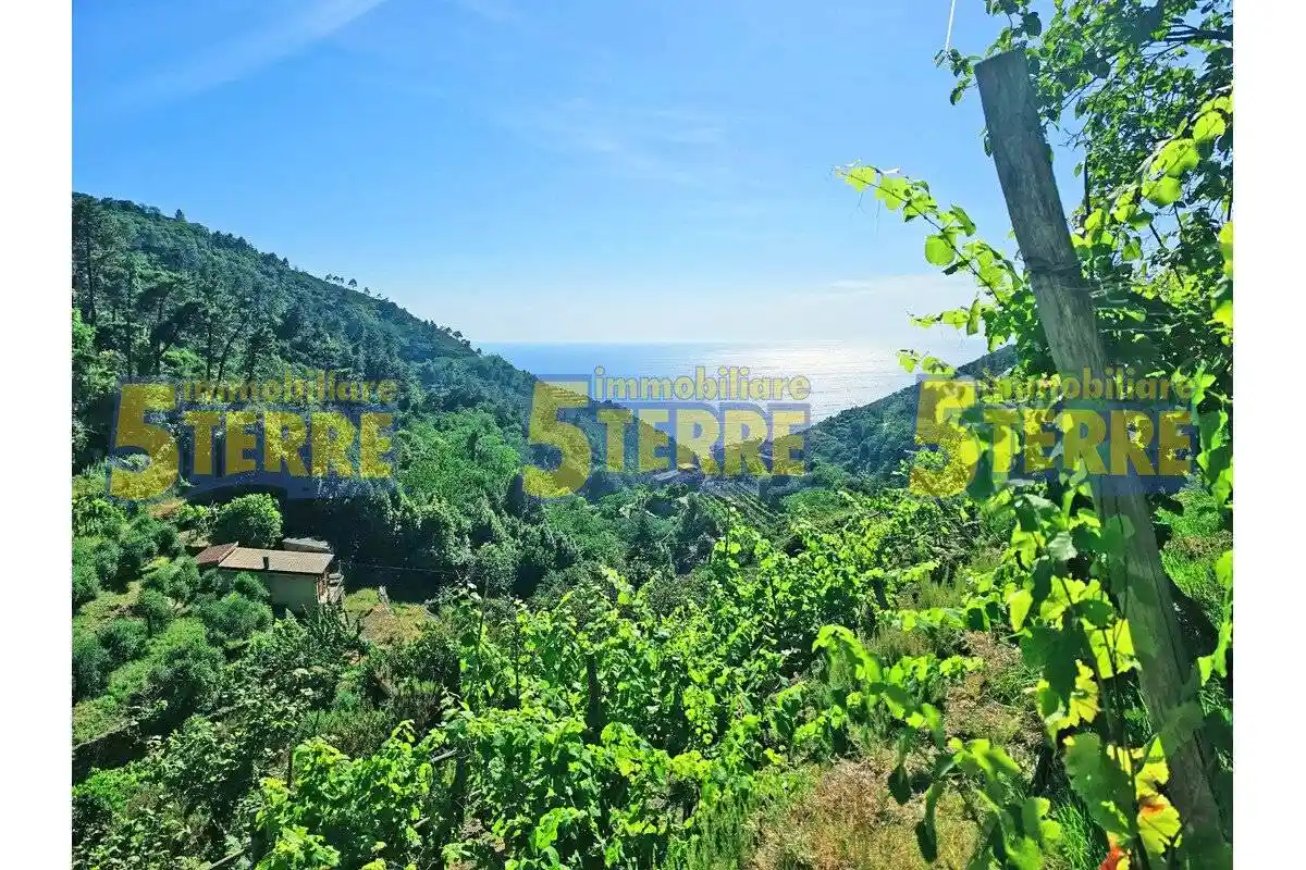 Rustico - Casale in vendita a Riomaggiore