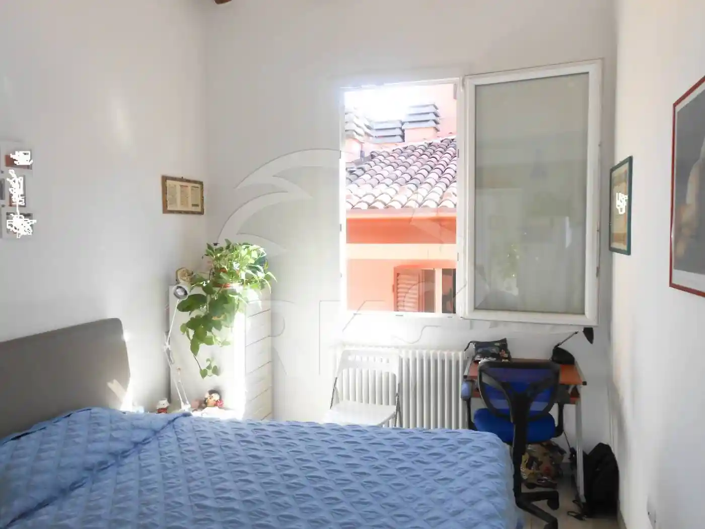 Appartamento in affitto a Bologna