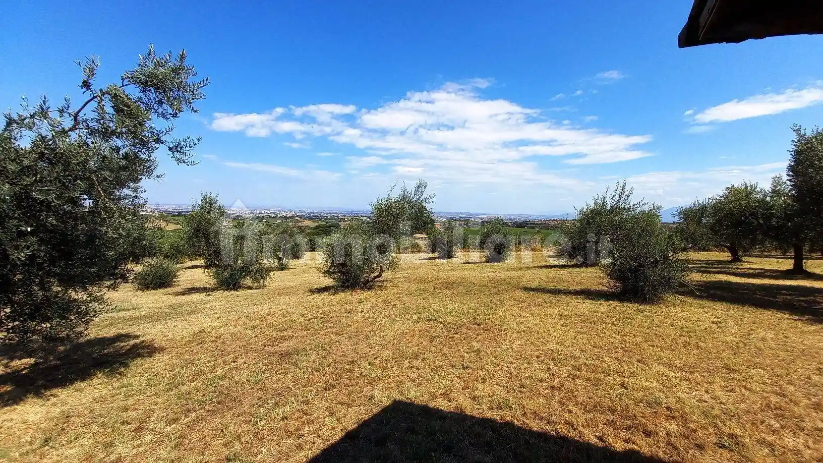 Villa in affitto a Frascati