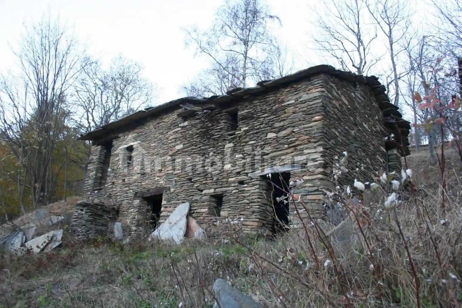 Rustico - Casale - foto 2