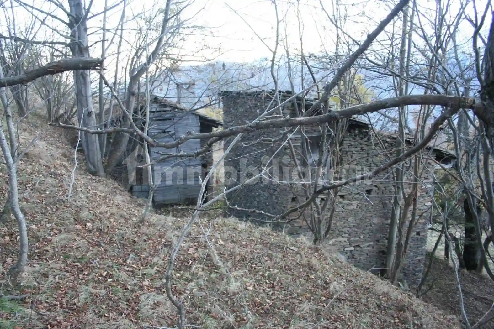 Rustico - Casale - foto 3