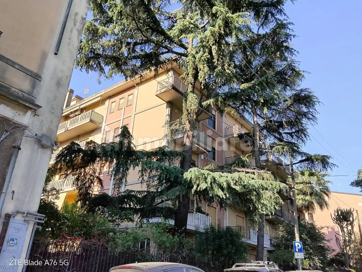 Appartamento in affitto a Catania