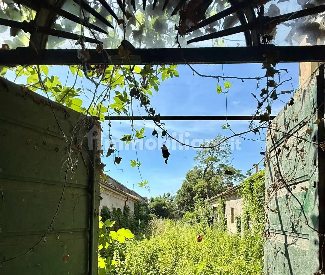 Casa indipendente in vendita a Luzzara