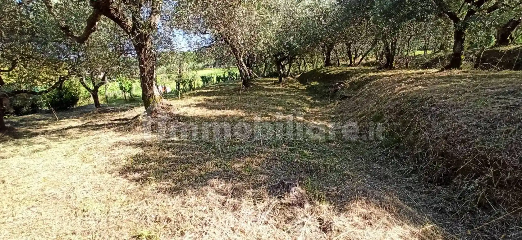 Casa indipendente in affitto a Capannori