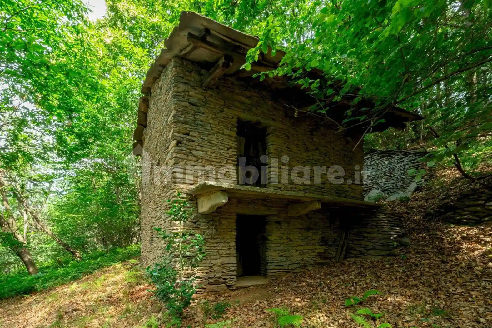Rustico - Casale in vendita a Barge