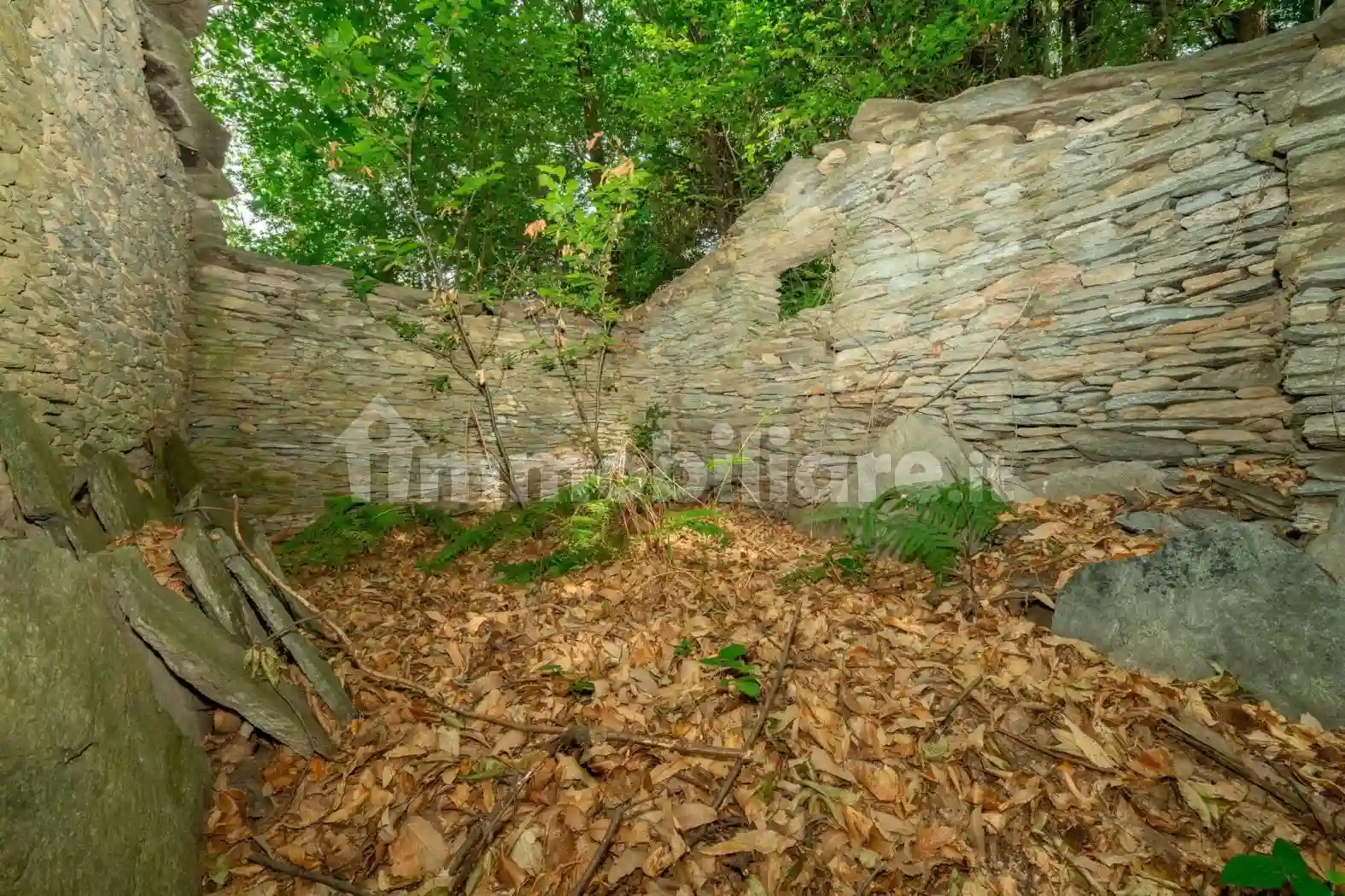 Rustico - Casale - foto 4
