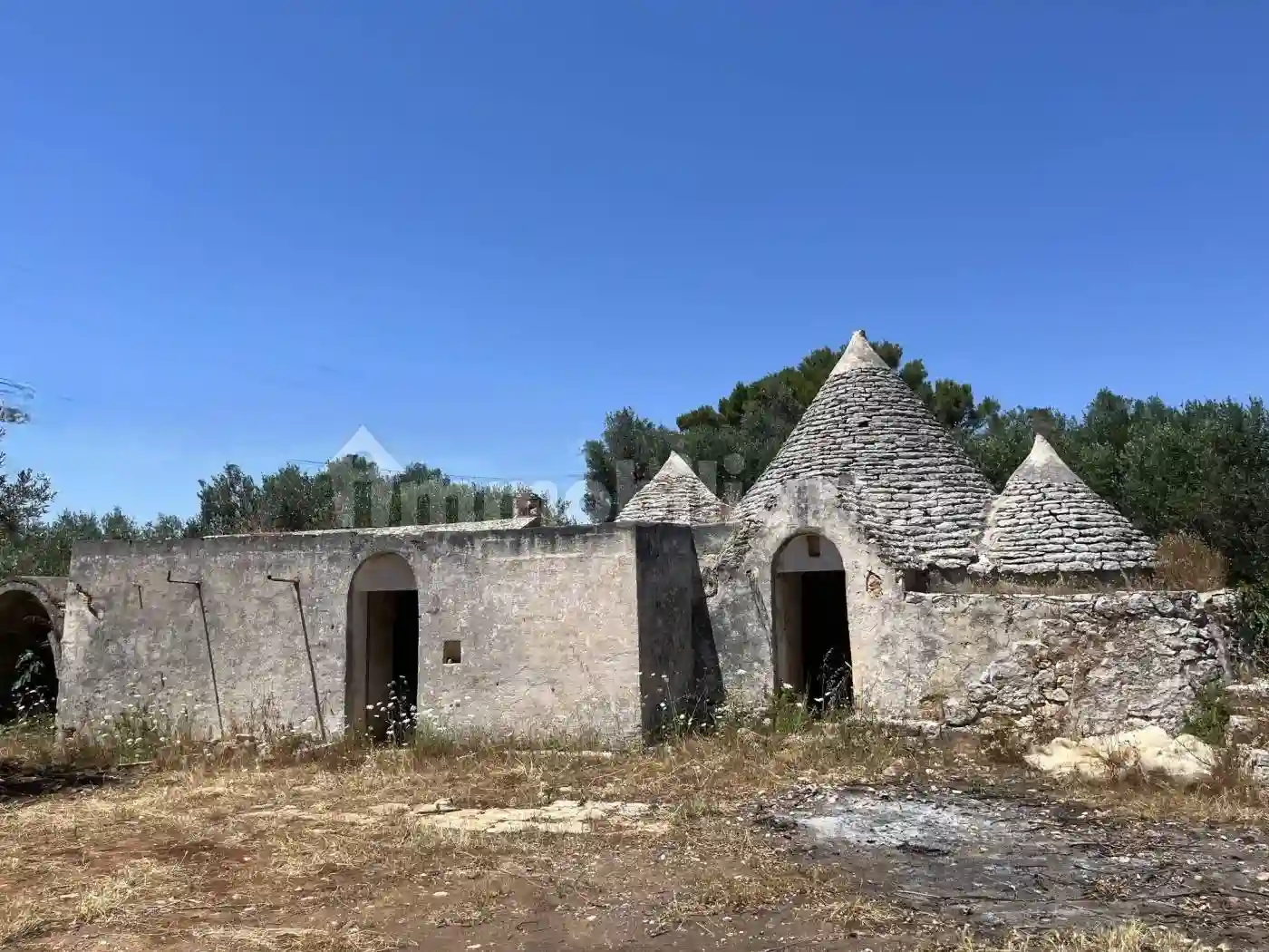 Rustico - Casale - foto 5