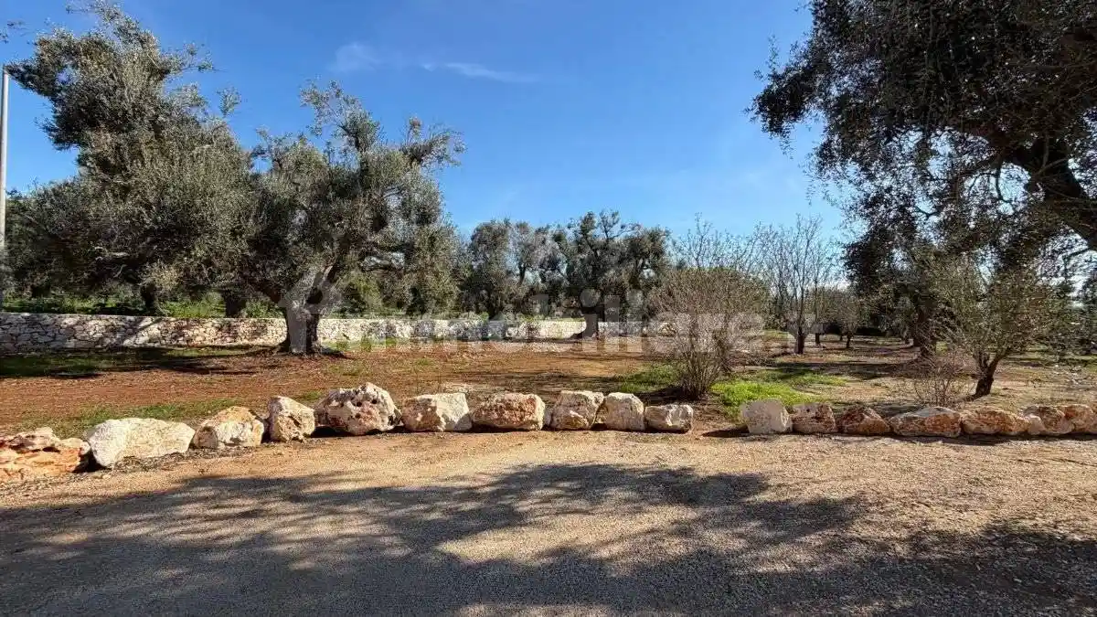 Villa in vendita a Carovigno