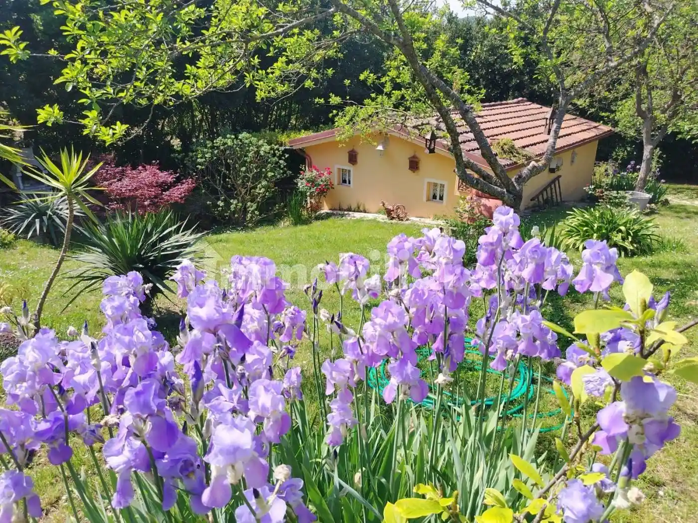 Rustico - Casale in vendita a Pesaro