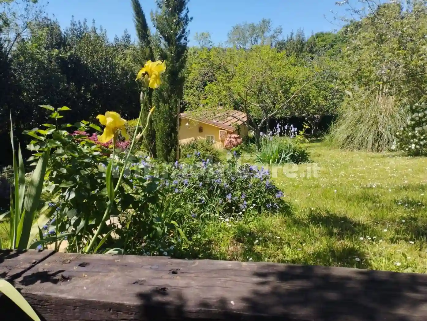 Rustico - Casale - foto 2