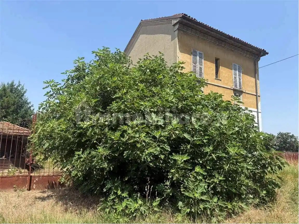 Casa indipendente in vendita a Bosco Marengo