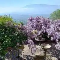 Appartamento in affitto a Anagni