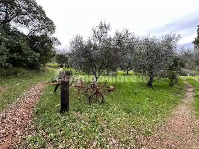 Rustico - Casale - foto 5
