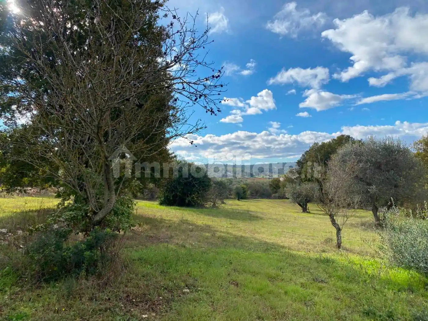 Rustico - Casale in vendita a Ostuni