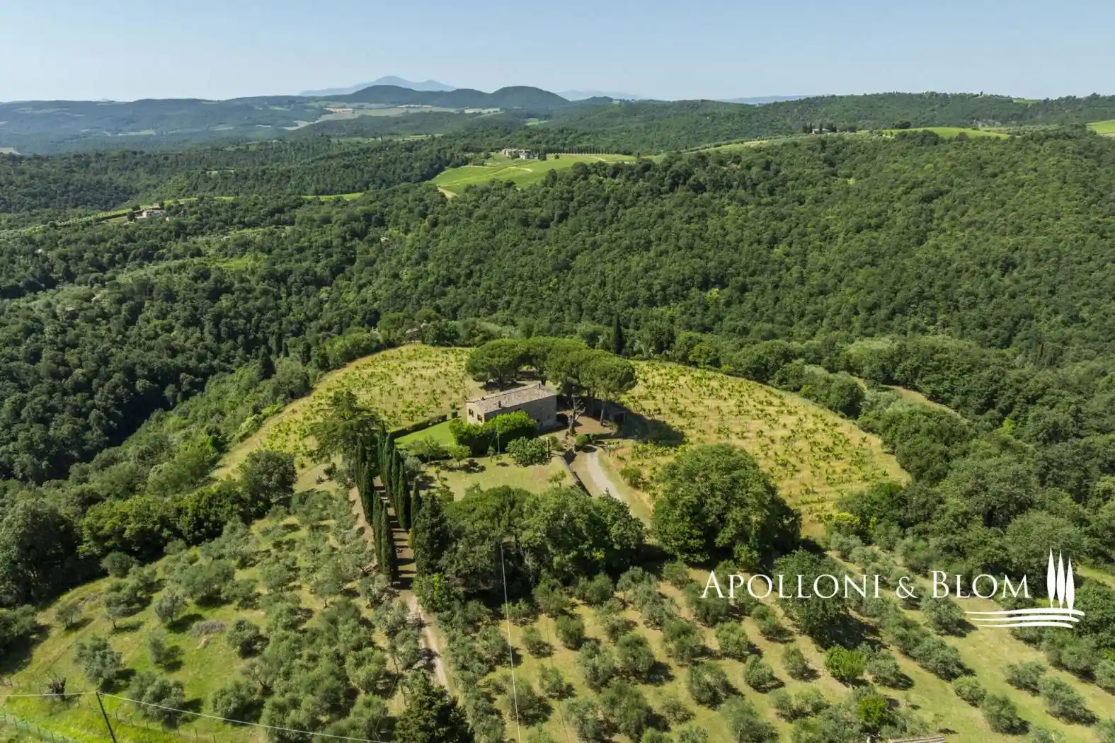 Rustico - Casale in vendita a Sinalunga