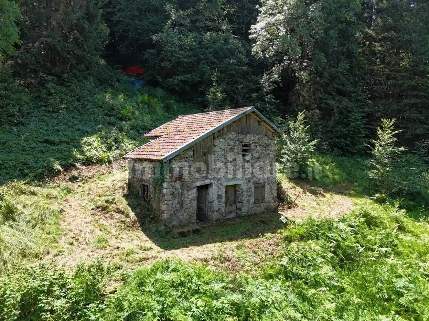 Rustico - Casale in vendita a Sovramonte
