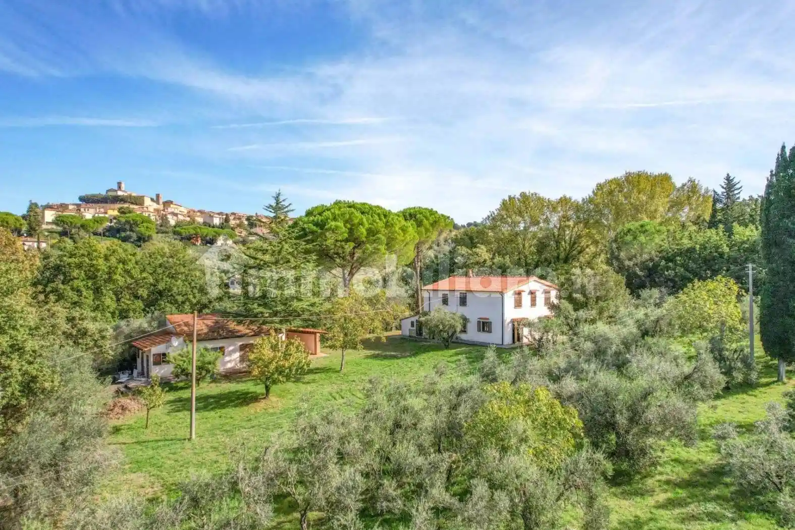 Rustico - Casale in vendita a Montescudaio